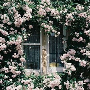 Meet your Posher, Livia